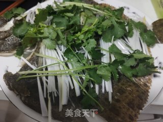 清蒸多宝鱼的做法步骤：4