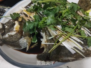 清蒸多宝鱼的做法步骤：5