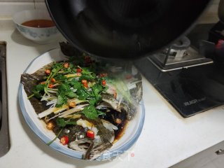 清蒸多宝鱼的做法步骤：6