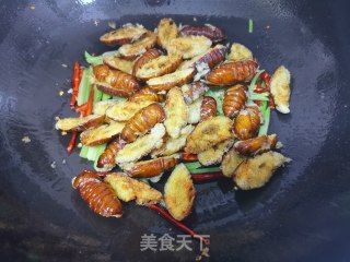 干煸蝉蛹的做法步骤：10