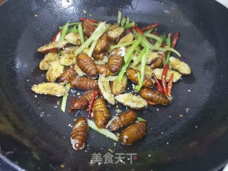 干煸蝉蛹的做法步骤：11