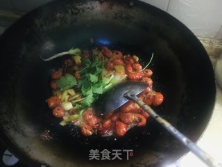 香辣小龙虾的做法步骤：8