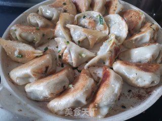 煎饺的做法步骤：4