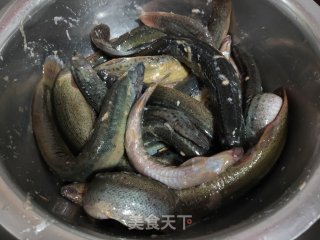 家常泥鳅鱼的做法步骤：2