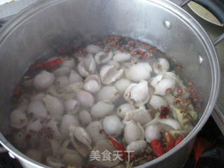 麻辣炒鸡肚的做法步骤：5