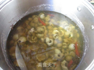麻辣炒鸡肚的做法步骤：6