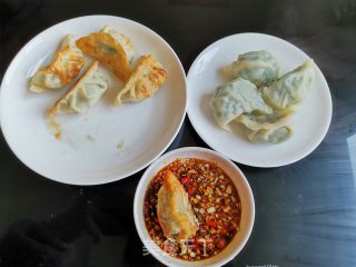 荠菜饺子的做法步骤：11