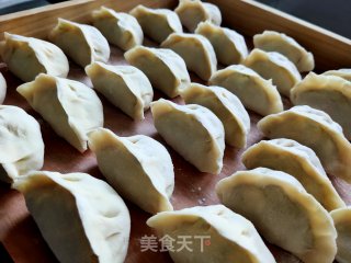 西葫芦素水饺的做法步骤：8