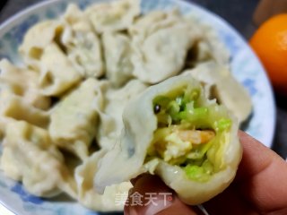 西葫芦素水饺的做法步骤：12