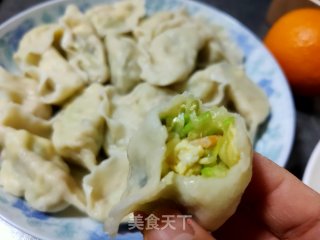 西葫芦素水饺的做法步骤：13