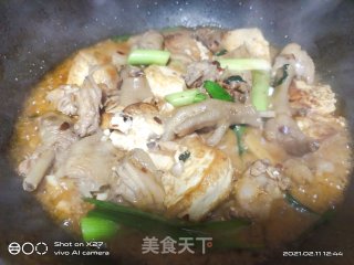 鸡肉烧豆腐的做法步骤：5
