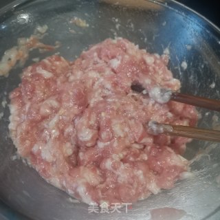 鲜嫩多汁的鲜肉汤圆的做法步骤：3