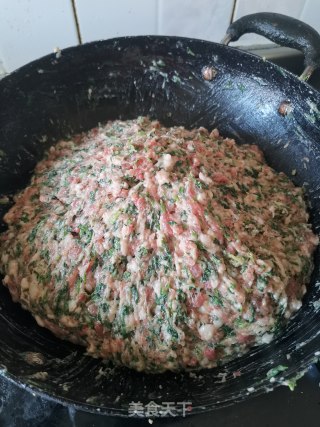 荠菜猪肉水饺的做法步骤：6