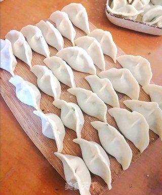 荠菜猪肉水饺的做法步骤：7