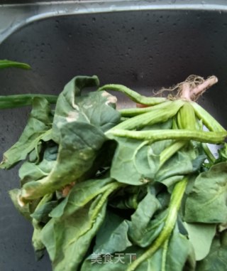 “早春美味”迎春花拌菠菜的做法步骤：3