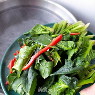 “早春美味”迎春花拌菠菜的做法步骤：4