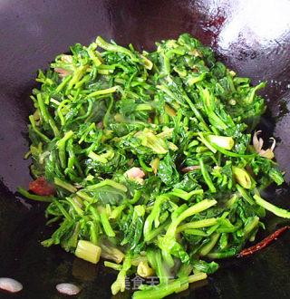 肉片炒菠菜的做法步骤：6