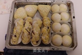 法国牛奶面包的做法步骤：8