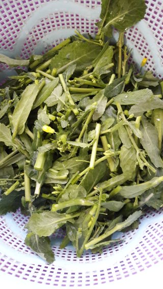 炒油菜心的做法步骤：1