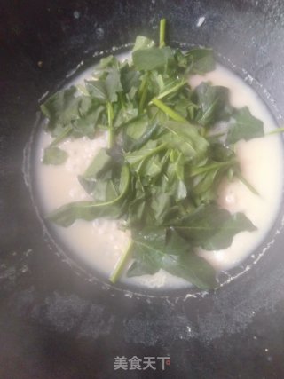 菠菜皮蛋粥的做法步骤：7