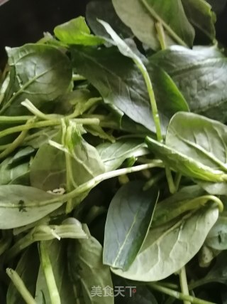 拌菠菜的做法步骤：1