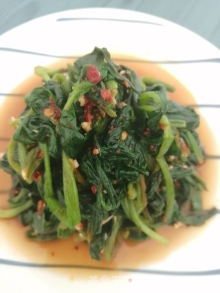 拌菠菜的做法步骤：6