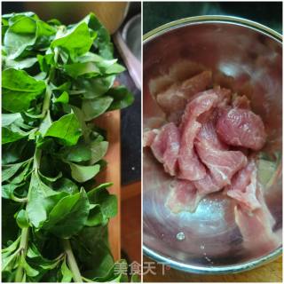 枸杞叶瘦肉汤的做法步骤：1