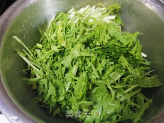 爽口苦苣的做法步骤：4
