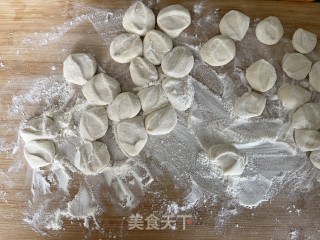 超好吃的猪肉茴香饺子的做法步骤：10