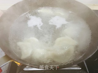 超好吃的猪肉茴香饺子的做法步骤：14