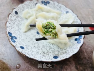 超好吃的猪肉茴香饺子的做法步骤：15