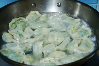 韭菜鸡蛋馅水饺的做法步骤：5