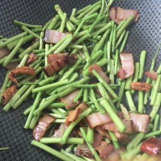 烟熏腊肉炒藜蒿的做法步骤：10