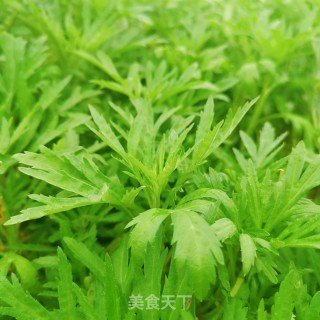 黎蒿炒腊肉的做法步骤：1