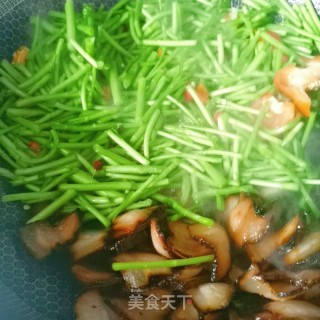 黎蒿炒腊肉的做法步骤：9