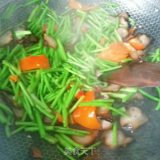黎蒿炒腊肉的做法步骤：10