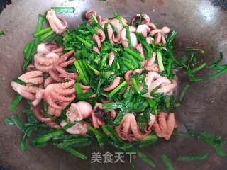 韭菜炒八爪鱼的做法步骤：13