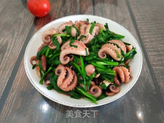 韭菜炒八爪鱼的做法步骤：14