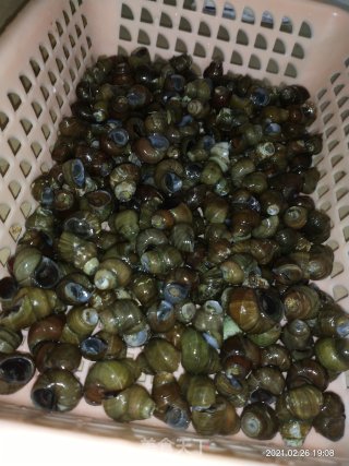 田螺鸭脚煲的做法步骤：5