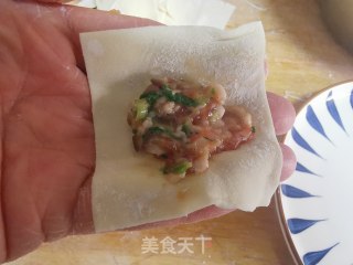 猪肉香菇馄饨的做法步骤：8