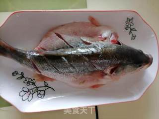 清蒸鲈鱼的做法步骤：1