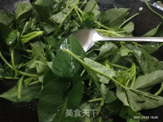 清炒地瓜苗的做法步骤：3