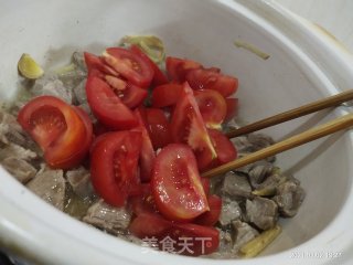番茄焖牛腩的做法步骤：8