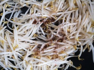 韭菜炒绿豆芽的做法步骤：6