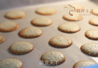 嘎嘣脆！搅一搅就成功的芝麻薄脆饼~的做法步骤：8
