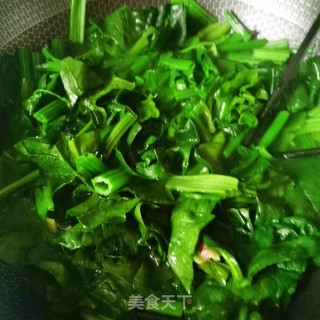 素炒菠菜的做法步骤：4
