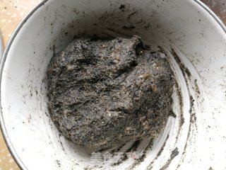 黑芝麻糖油馒头的做法步骤：4