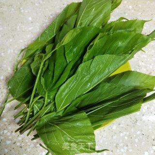 桑叶芽猪心汤的做法步骤：1