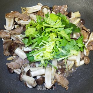姬松茸炒肉片的做法步骤：12