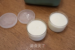 自制原味无糖酸奶的做法步骤：8